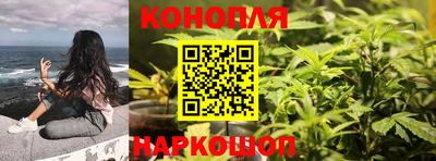 герыч Новодвинск