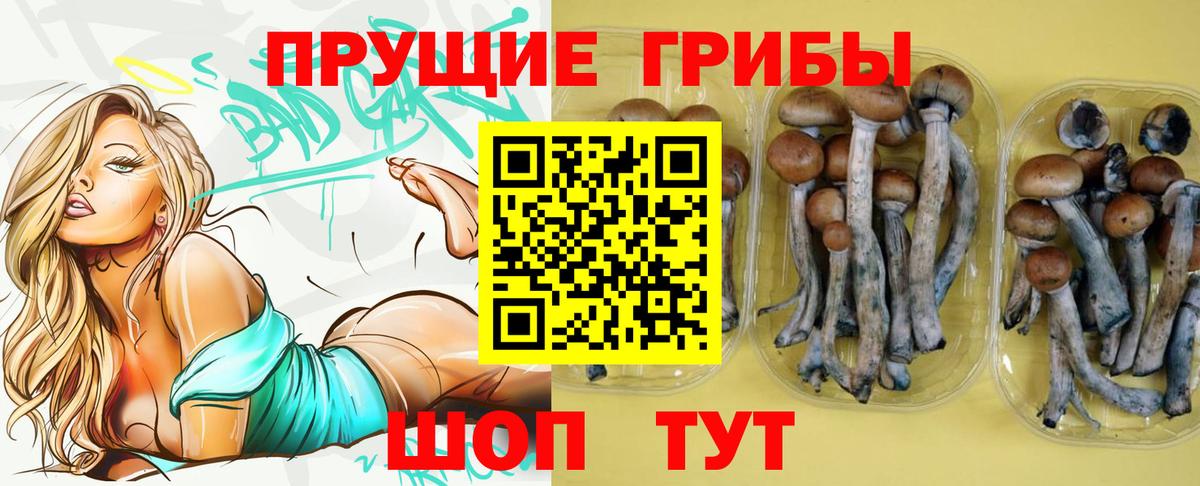 Галлюциногенные грибы Magic Shrooms  Вход с VPN  Пенза 